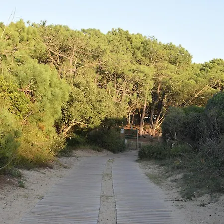 Evasion Cotiere Tranquillite Entre Foret Et Ocean