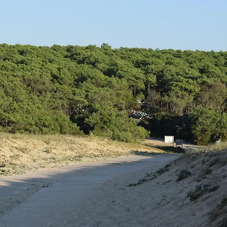 Evasion Cotiere Tranquillite Entre Foret Et Ocean