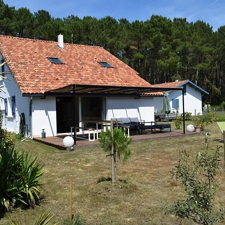 Evasion Cotiere Tranquillite Entre Foret Et Ocean