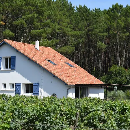 Evasion Cotiere Tranquillite Entre Foret Et Ocean Villa Vielle-Saint-Girons
